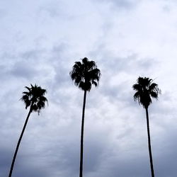 Click wisely 😉 photo