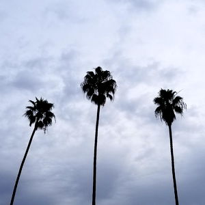 Click wisely ๐ photo