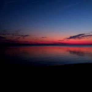 Trinity Portelance photo