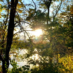 Deidre Camille photo