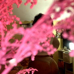 Adult Model Deidre Camille, Rhode Island