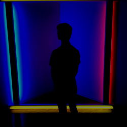 Thensfwstud: Vivid Art and the Future of Photography