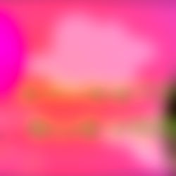 Ernesta Guevara photo