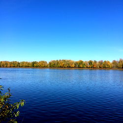 Alexander Colford photo