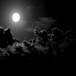 ๐๐๐๐๐๐๐๐๐. photo