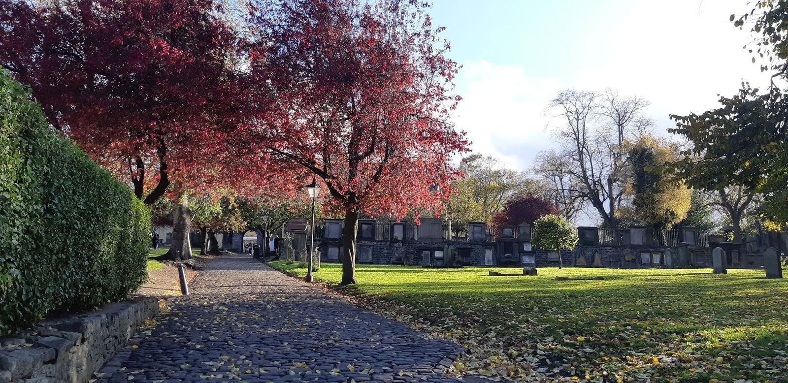 The Kinky Academic photo