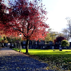 The Kinky Academic photo