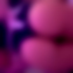 ZERITO ๐๐ฎ ๐๐๐ก๐๐๐๐ ๐ฌยกBusco NOVIO! ๐ฐโโ๏ธ photo