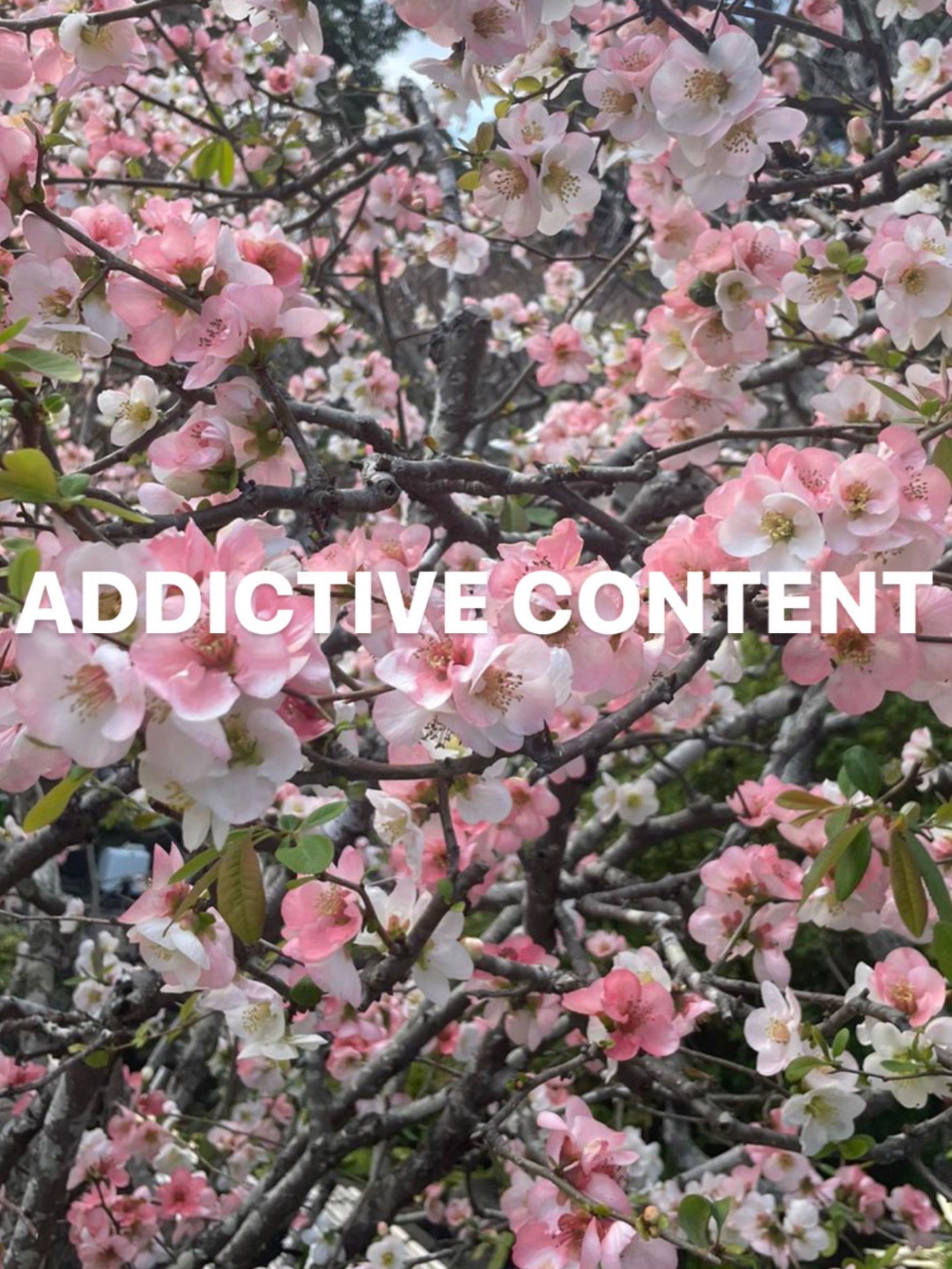 Justingfit (1%) photo