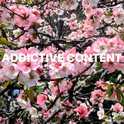 Justingfit (1%) photo