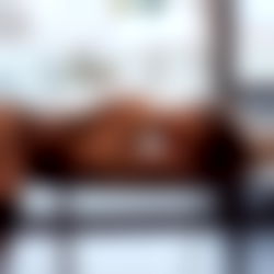 Gisele Bittencourt photo