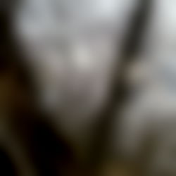 ๐๐๐๐๐พ๐ถ ๐๐๐ photo