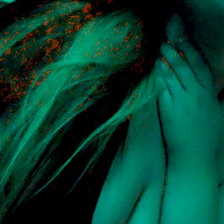 Sosaluv: A Model on OnlyFans