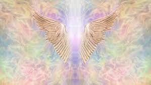 Angel Sage ♡ photo