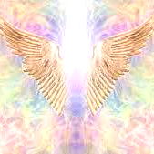 Angel Sage โก photo