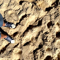 ★ ʙᴀᴀʙʏ ᴛᴡɪɴᴋ ★ photo