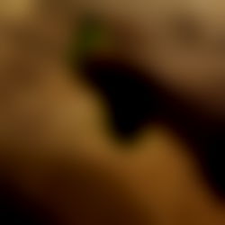 AtomicToezยฎ photo