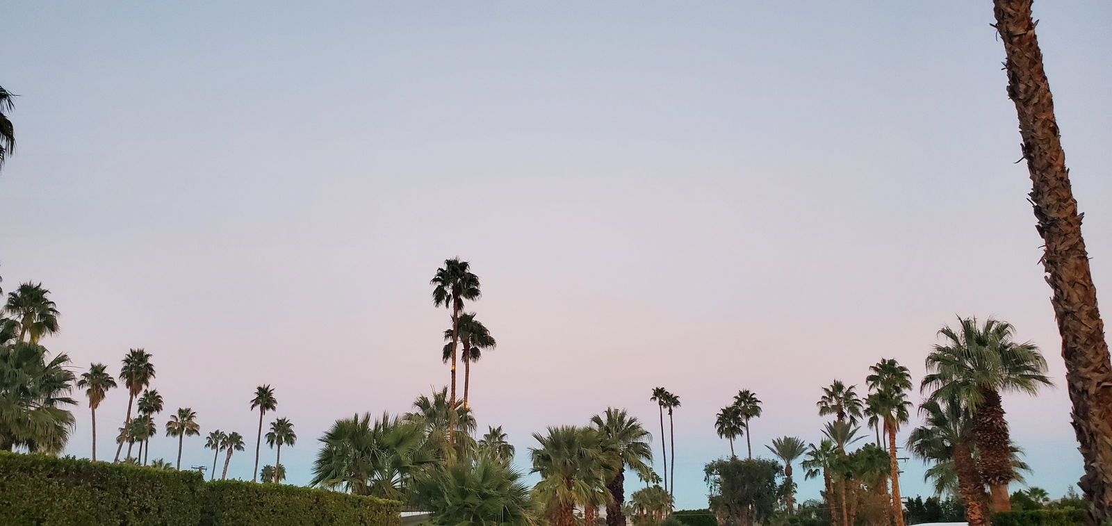 Silver Diamond 💎 photo