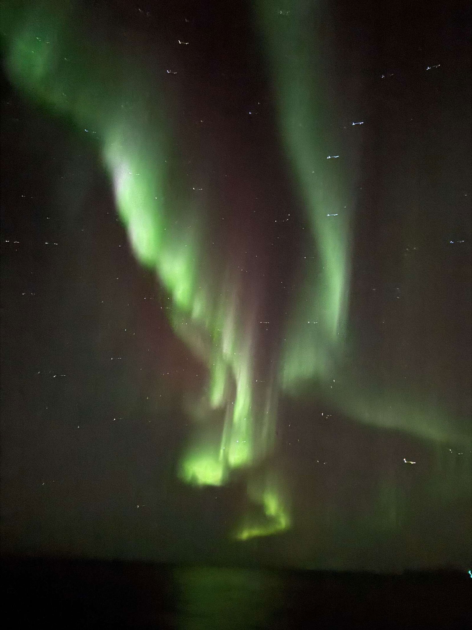 Wild girl😈😈 photo