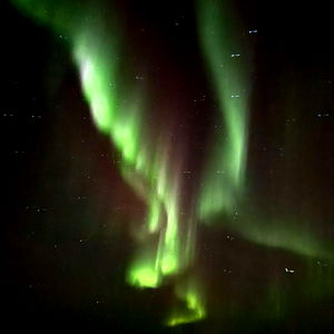 Wild girl๐๐ photo