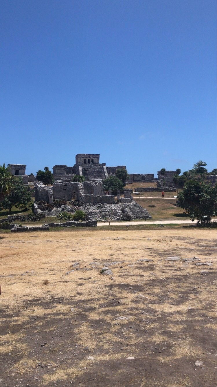 Adriele Schwartz photo