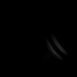 𝐀𝐬𝐡𝐥𝐞𝐲 𝐒𝐜𝐡𝐚𝐟𝐟𝐢𝐧𝐨 photo