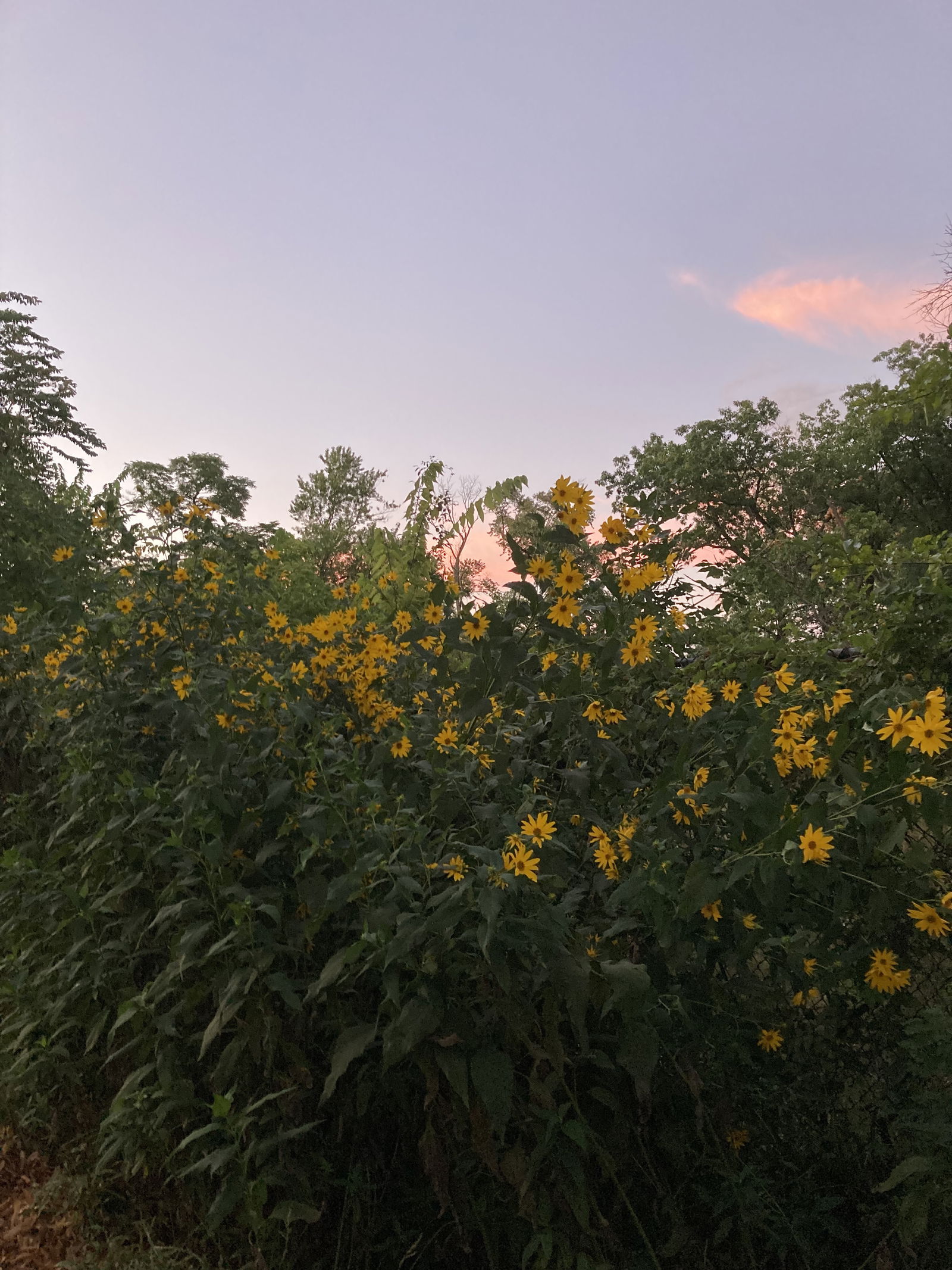 Baddie with a bong photo