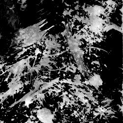 Adult Nederland photo