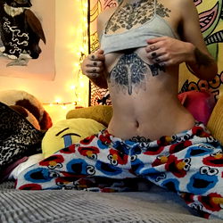 Amanita muscaria photo