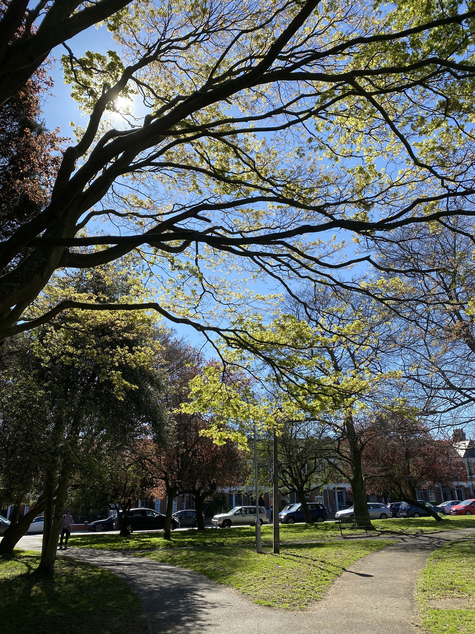 Babe_asaurusRexxx🍑 photo