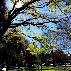 Babe_asaurusRexxx๐ photo