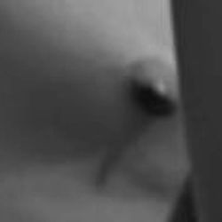 Alejandro Thomas photo