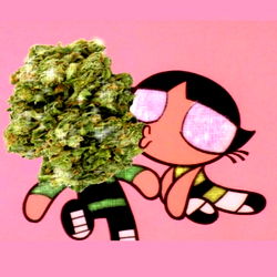 💗💗💗💗 photo