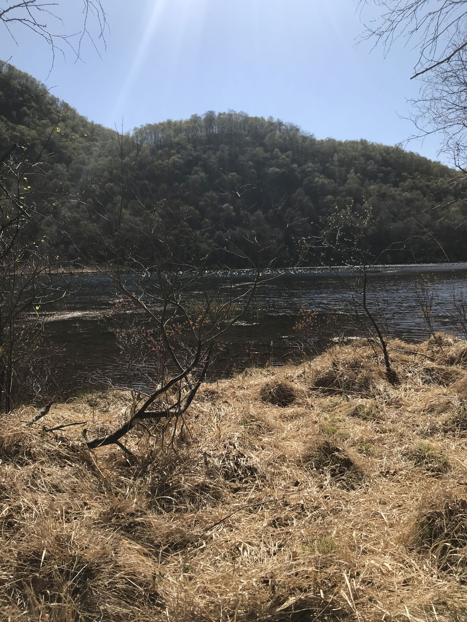 Aurora LeStrange✨ photo