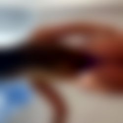 harleigh ๐๐ photo