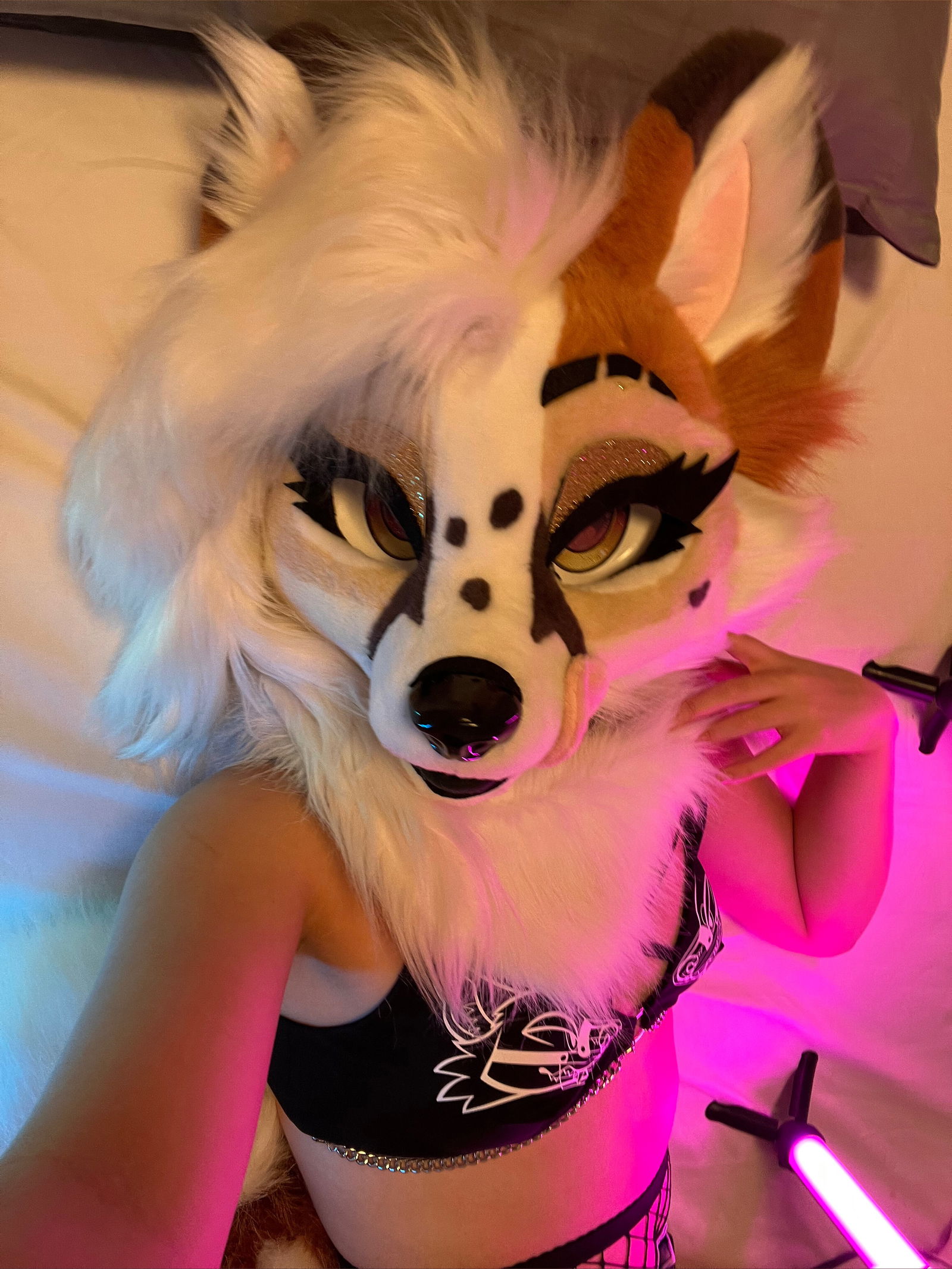 Lunari Fox photo