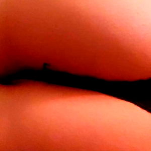 Alegame oficial photo