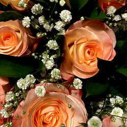 Vibrant Bouquet of Roses