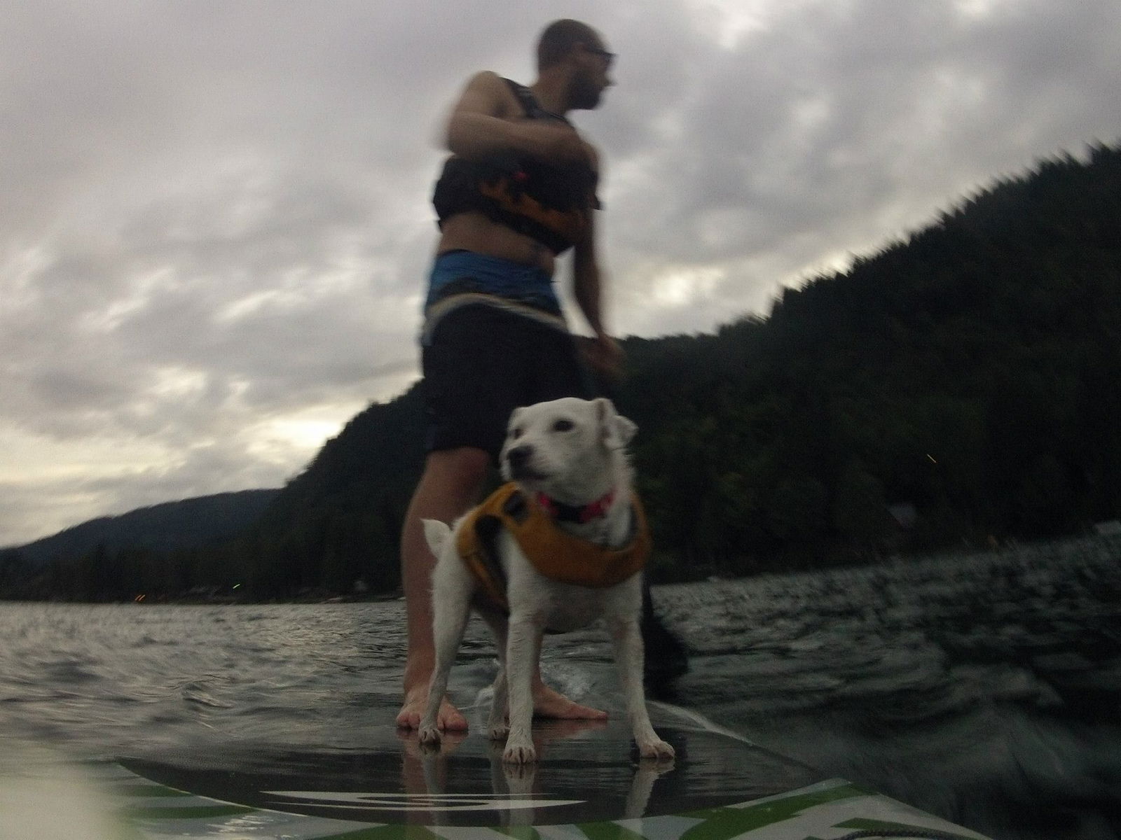 Auston Ošlapas photo