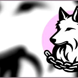 𝐿𝑒𝑥𝑖 photo