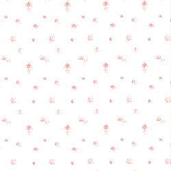 💦😍 CHLOE’S NO PPV 👀💦 photo