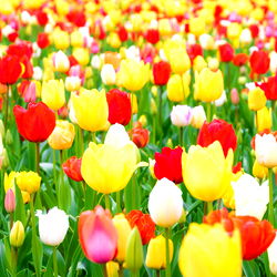 MixedPudding88 photo