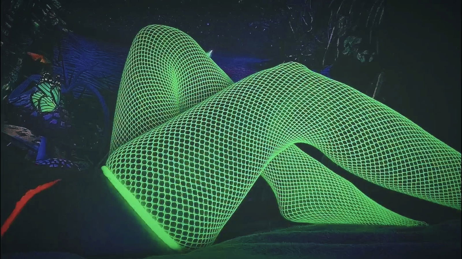 Ana Goldendoodle photo