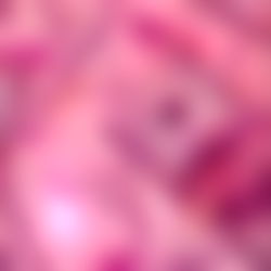 Princess Nelly๐ธ๐ป photo