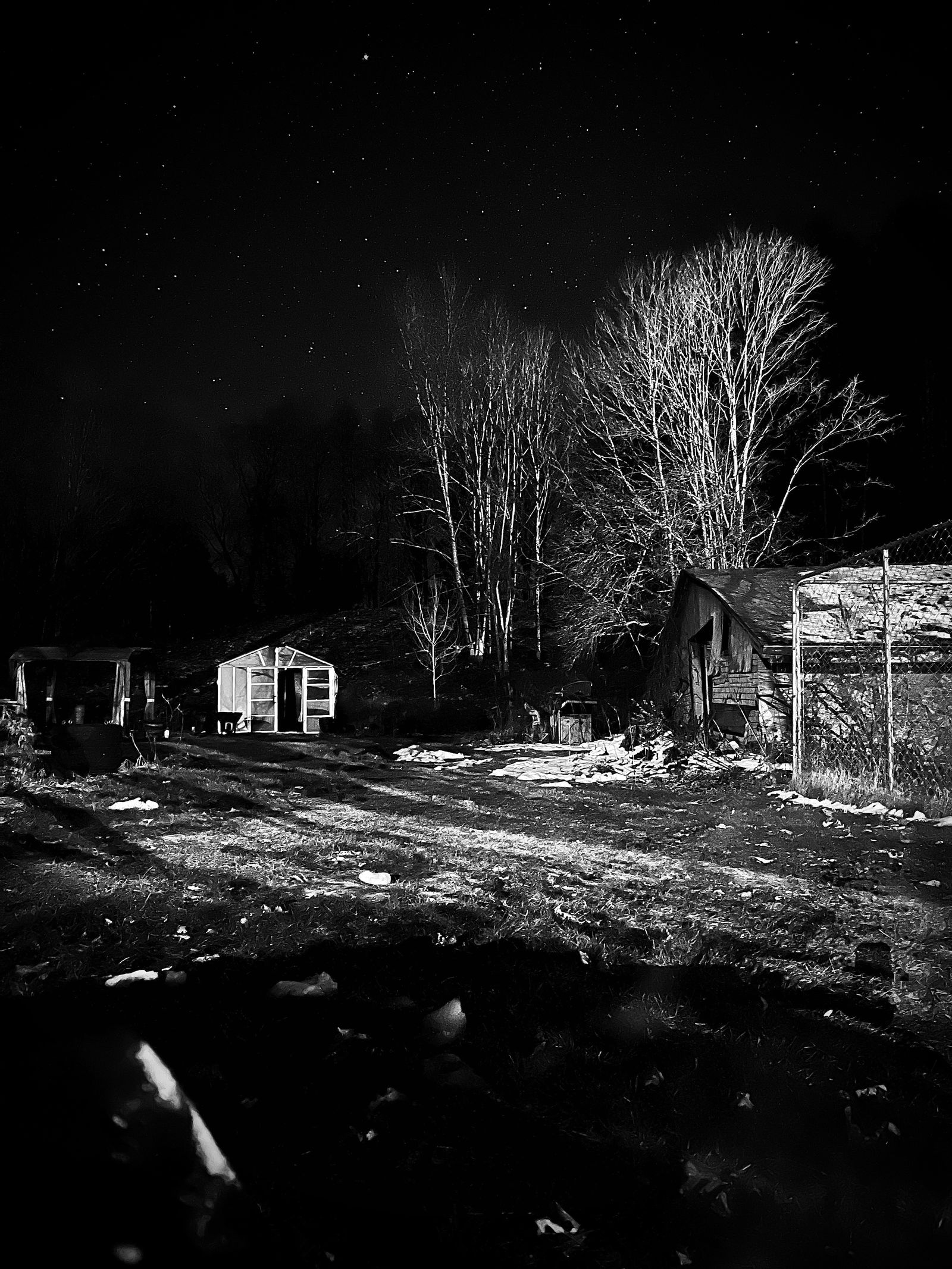 @saltyexhibitionistdad photo