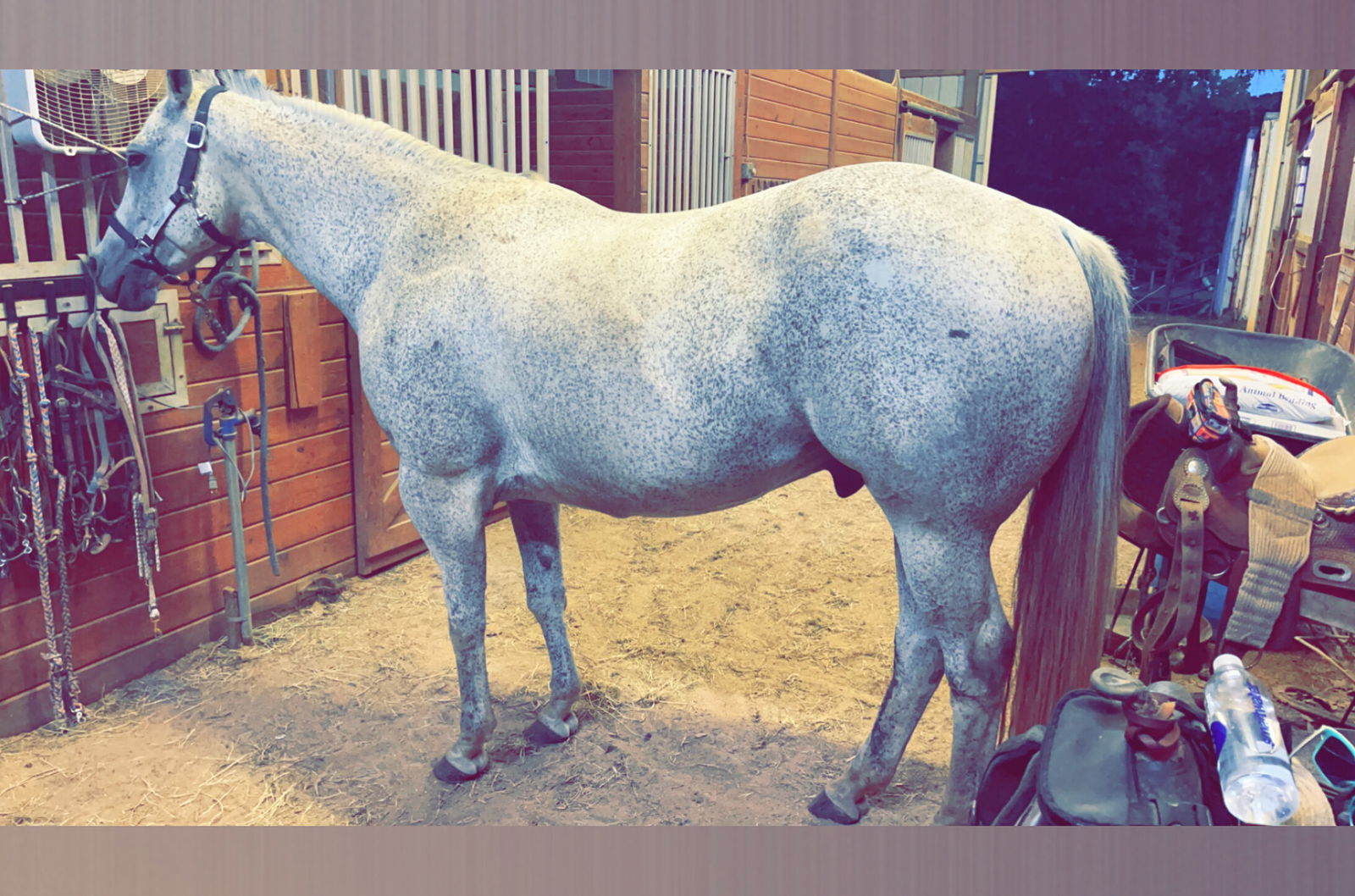 SaraSummers☀️ photo