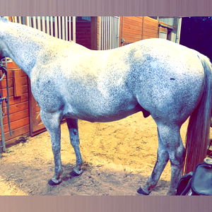 SaraSummersโ๏ธ photo