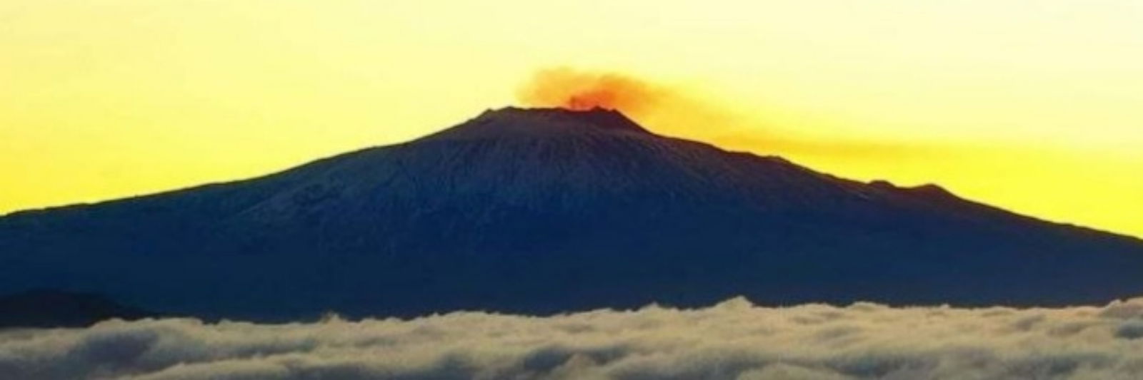 🏅Siciliano👑 porco🏅 photo