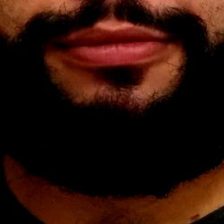 Meme Mishap: Instagram Model BEAR 🐻 in Minas Gerais