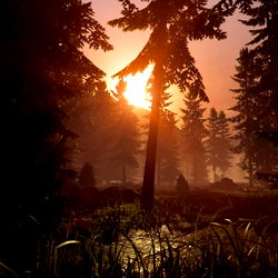 Bulletproof - A Journey Through the Serene Arizona Wilderness